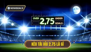 Kèo tài xỉu 2.75 là gì