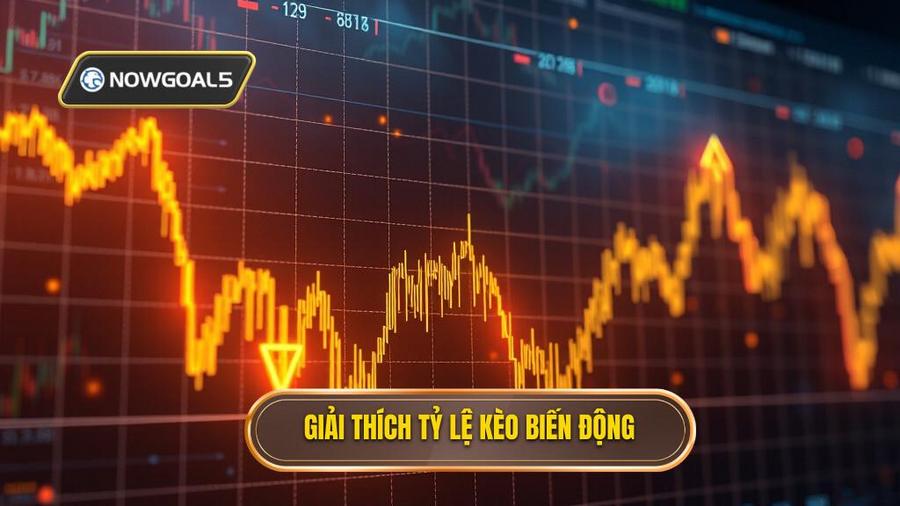 Tỷ lệ kèo biến động là gì?