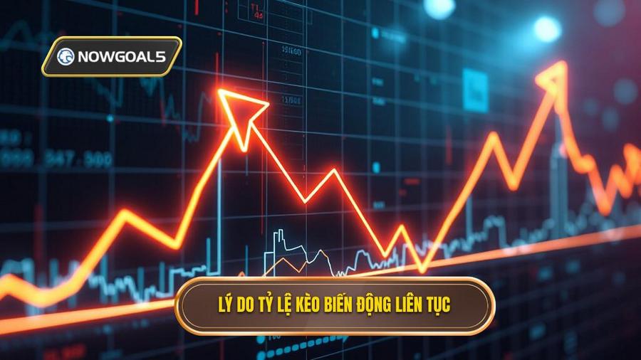 Tại sao tỷ lệ kèo lại biến động liên tục?